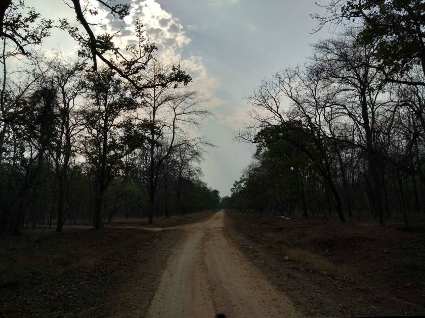 42250790_308968379834182_7212594281603661824_n