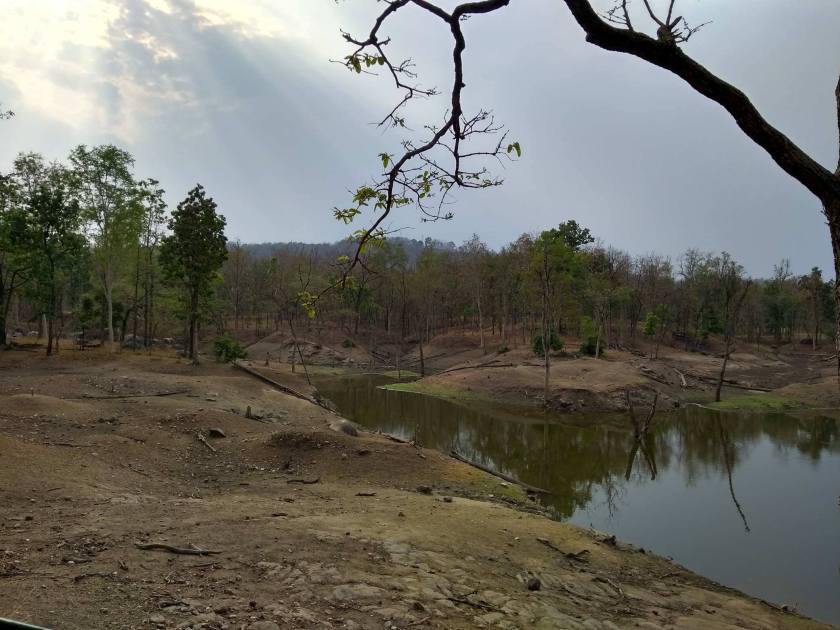 42371202_306060016852786_8335547523053649920_n