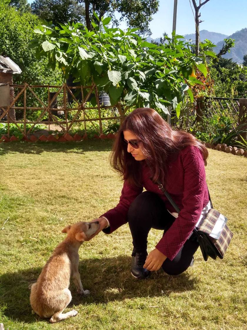 46068200_2056092941096690_8655837102765768704_n