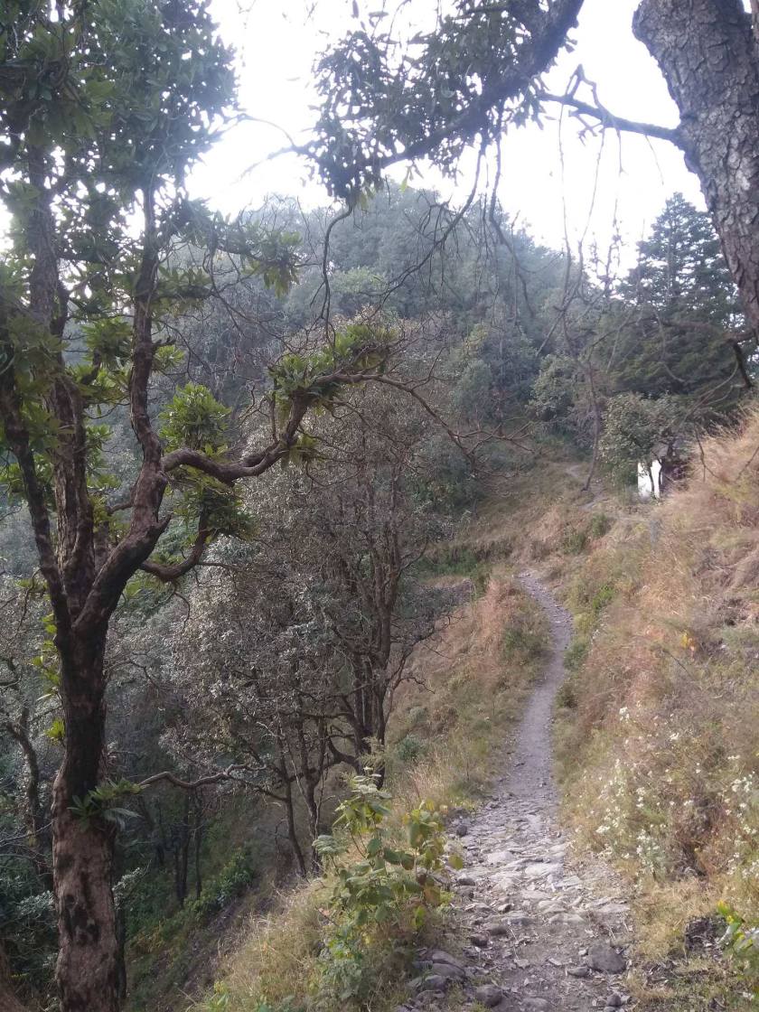 46959167_339188606897859_3553909545644326912_n