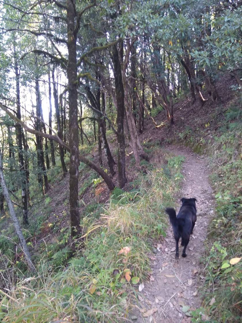 48382335_2092301001082453_5696197047720345600_n