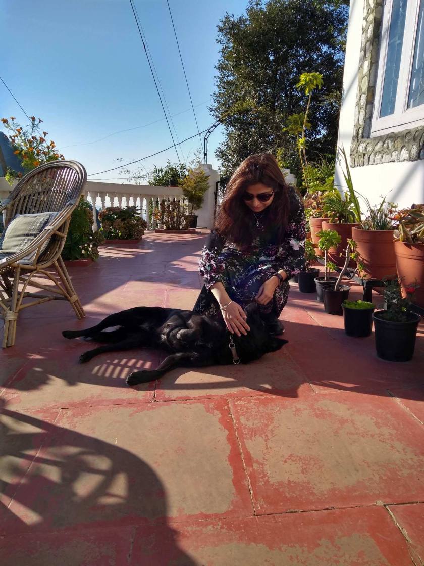 48411046_2413659641980801_6474567094531784704_n