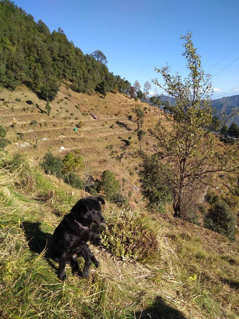 48415188_318518332330113_4507061761853095936_n