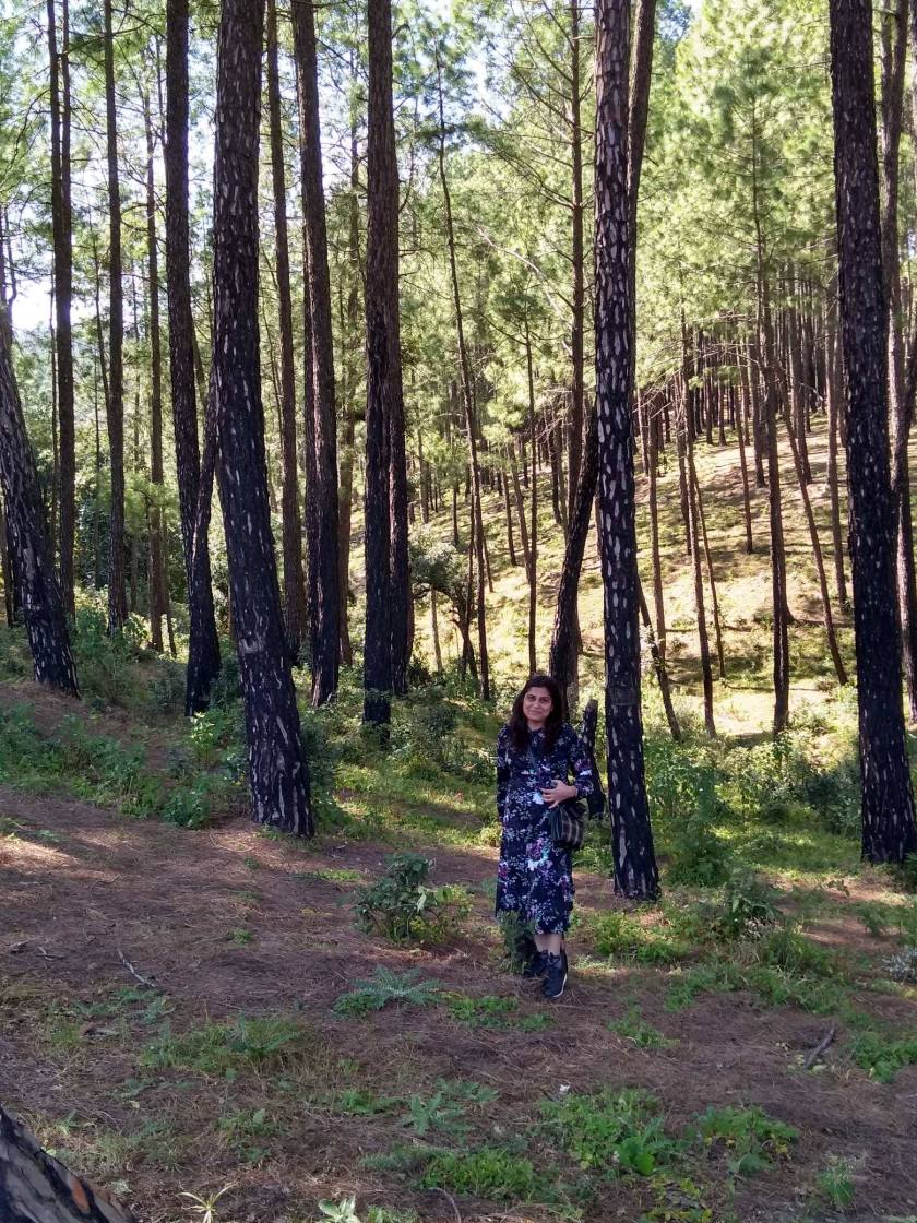 48972844_397311321007235_3025031713811070976_n