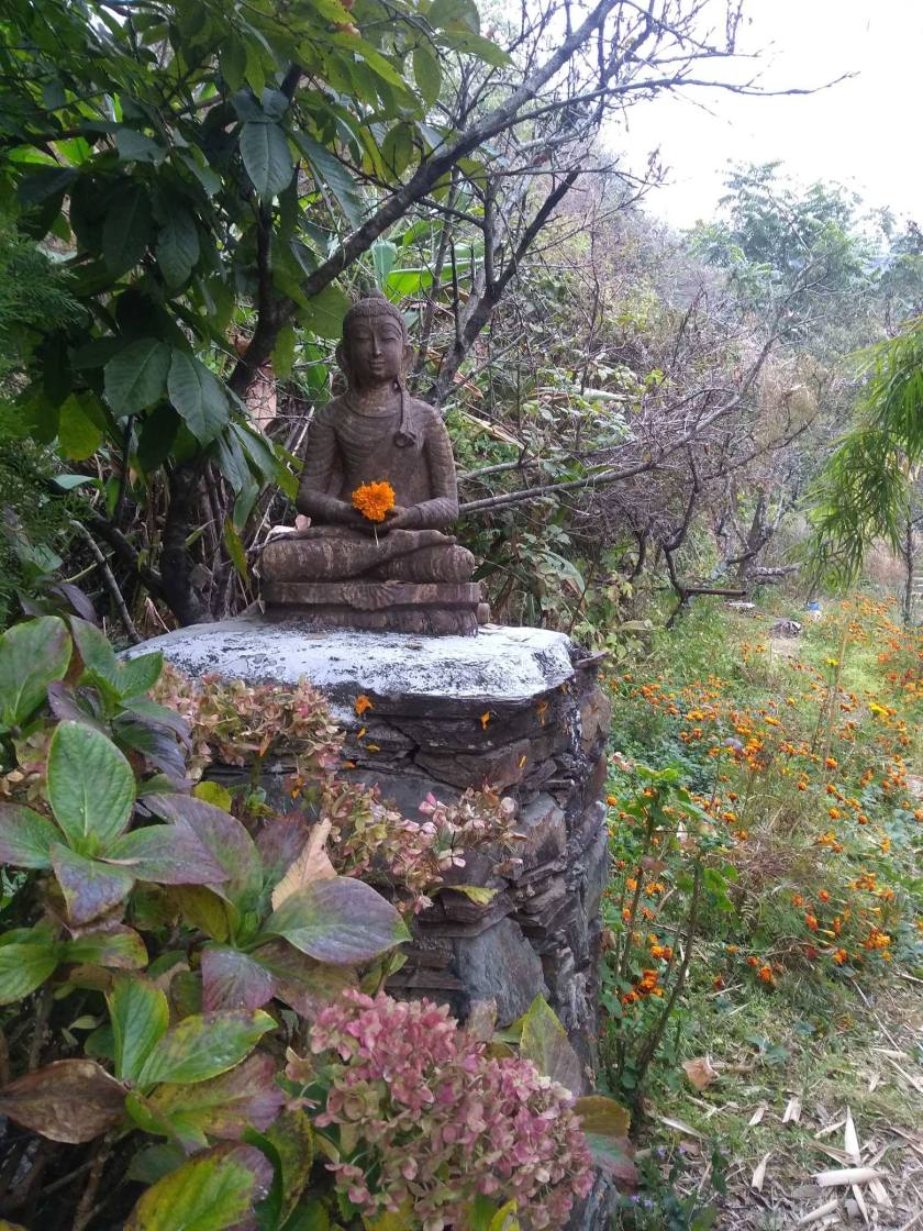 49312082_301586260492367_8488792432916299776_n