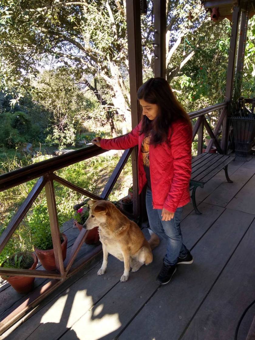 49787272_211028693173906_8011943190661693440_n