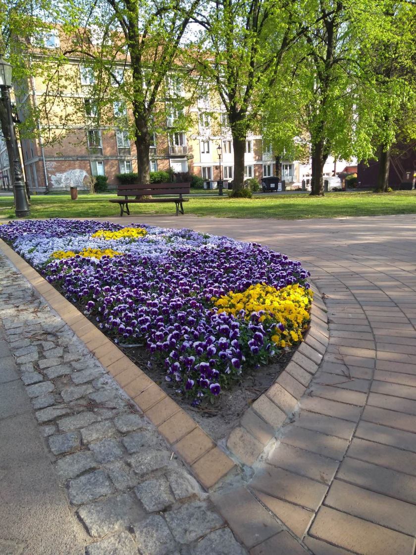 62165224_717033805396131_6408964849224646656_n