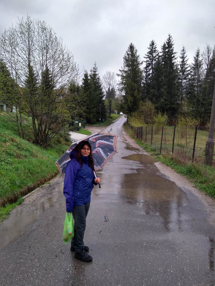 66002265_2448148922084778_7272199867802320896_n