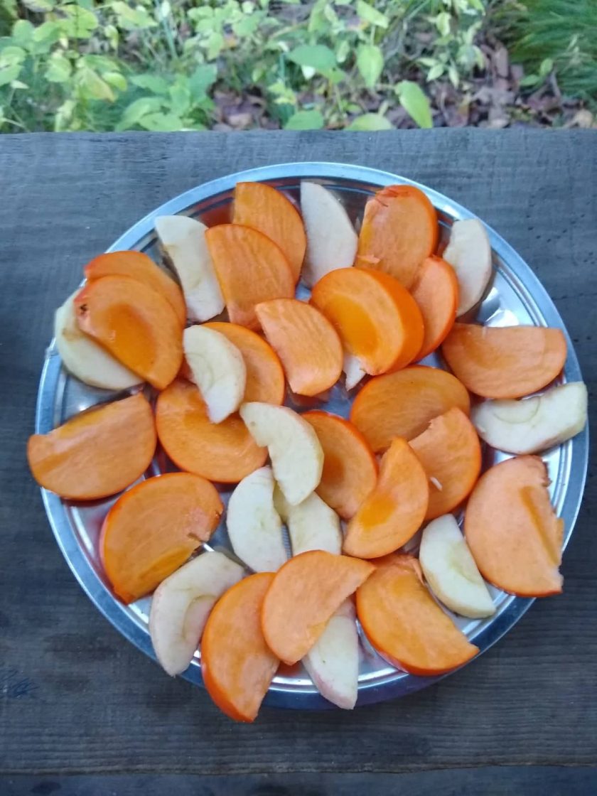 81223693_448834519133712_3152373448278278144_n