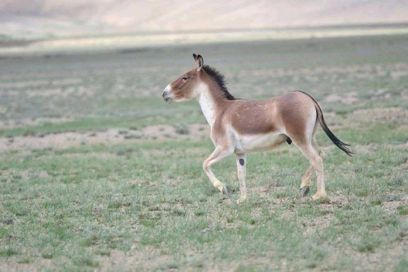 116157445_293484975201044_5115598286515346666_n