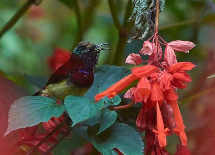 116248566_843438109517922_8853966447148622961_n