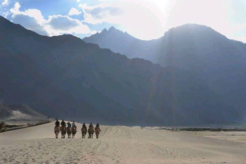 116295126_769973080408621_9123966188865279724_n