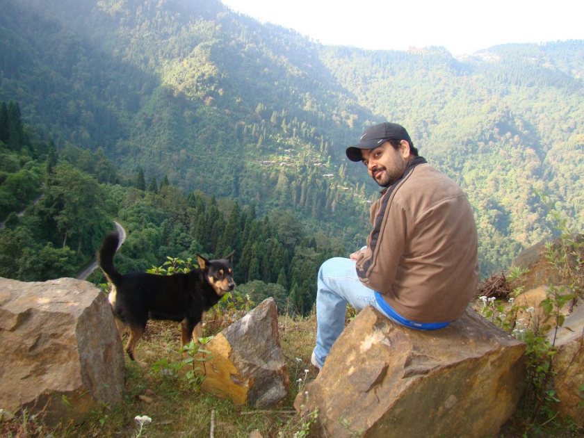 222398_422033281183639_16533375_n