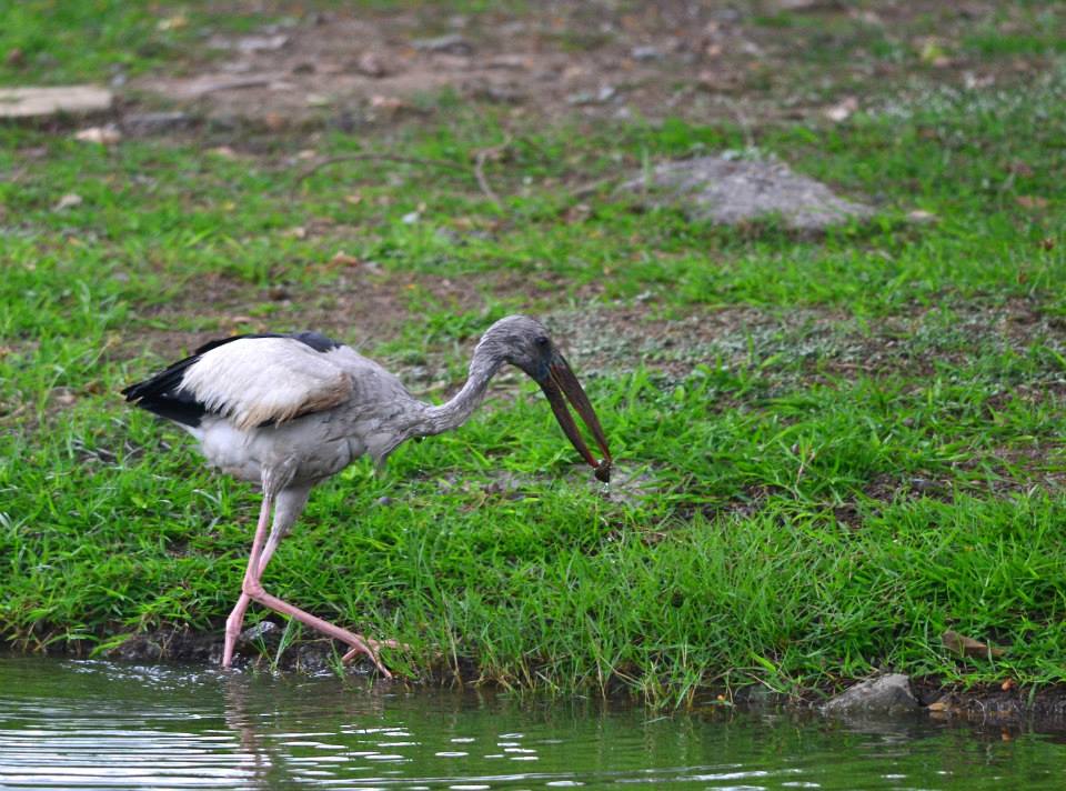 644211_10200361200897026_1965377981_n