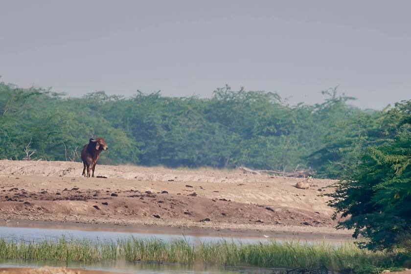 YOG_9376-DeNoiseAI-standard