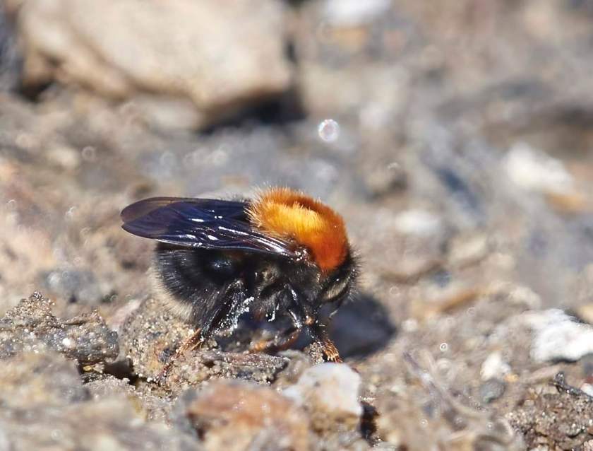 YOG_2389-DeNoiseAI-standard