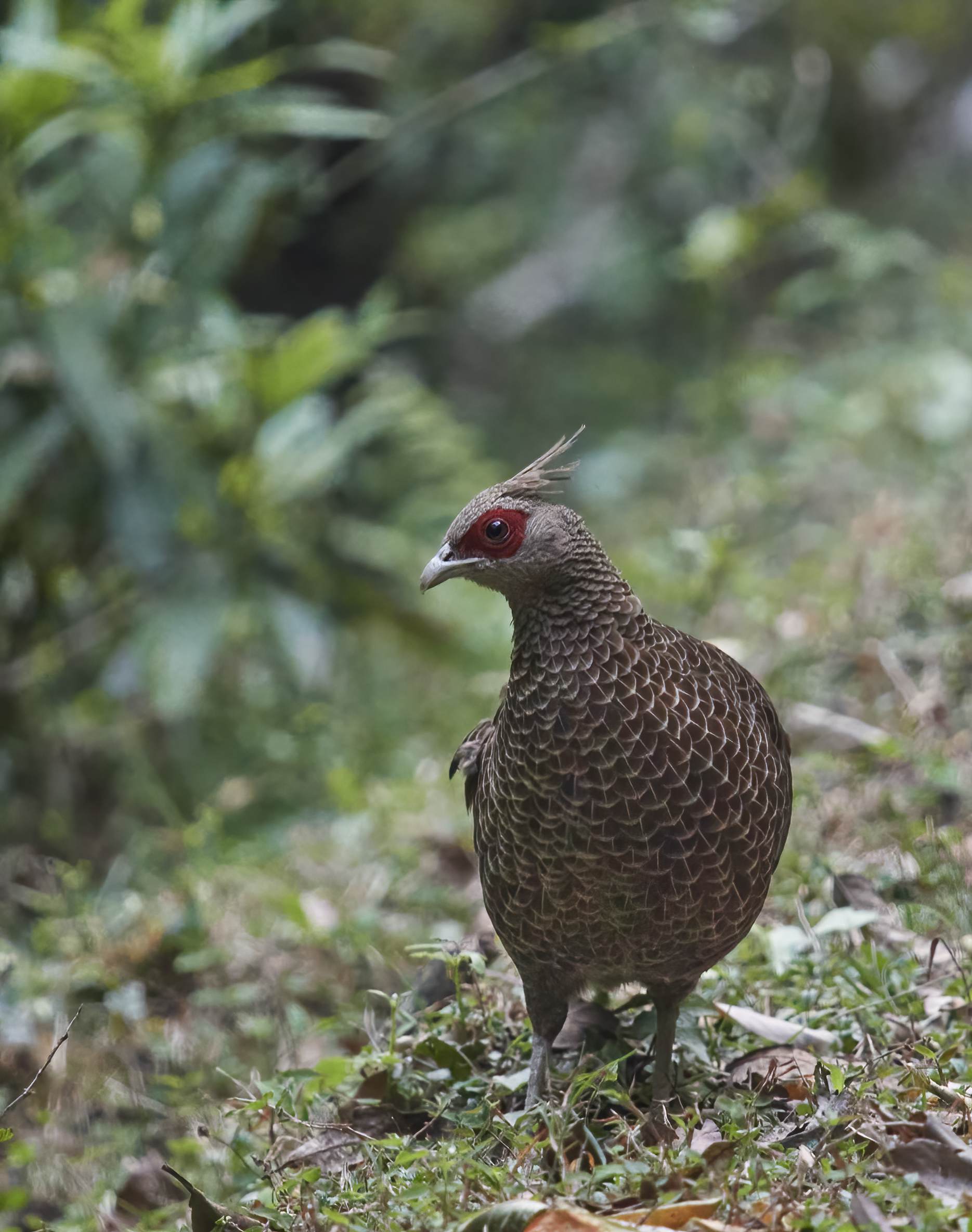 YOG_2937-DeNoiseAI-standard