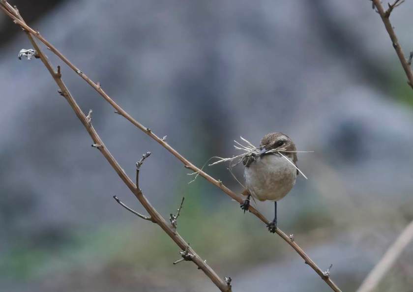 YOG_4002-DeNoiseAI-standard