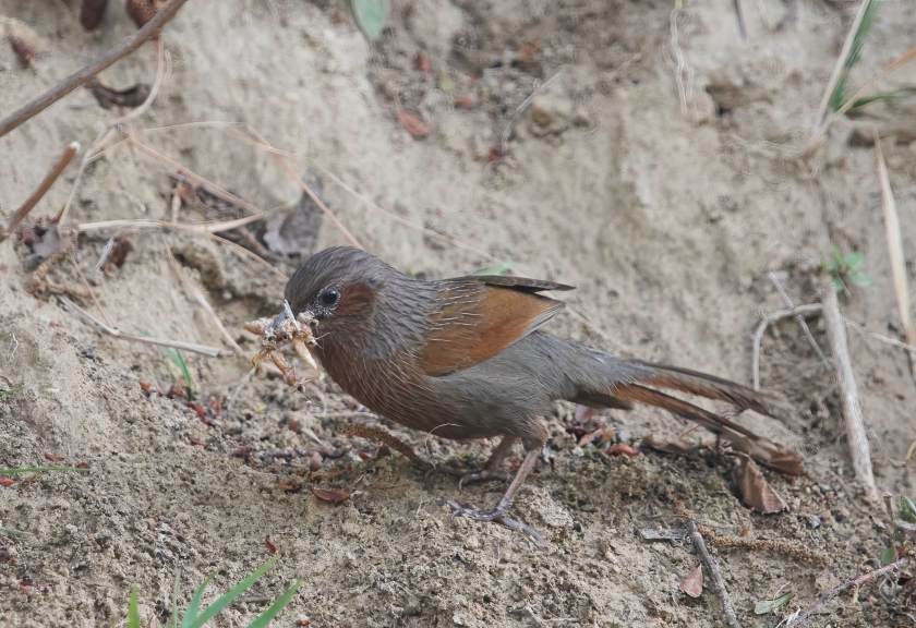 YOG_4199-DeNoiseAI-standard