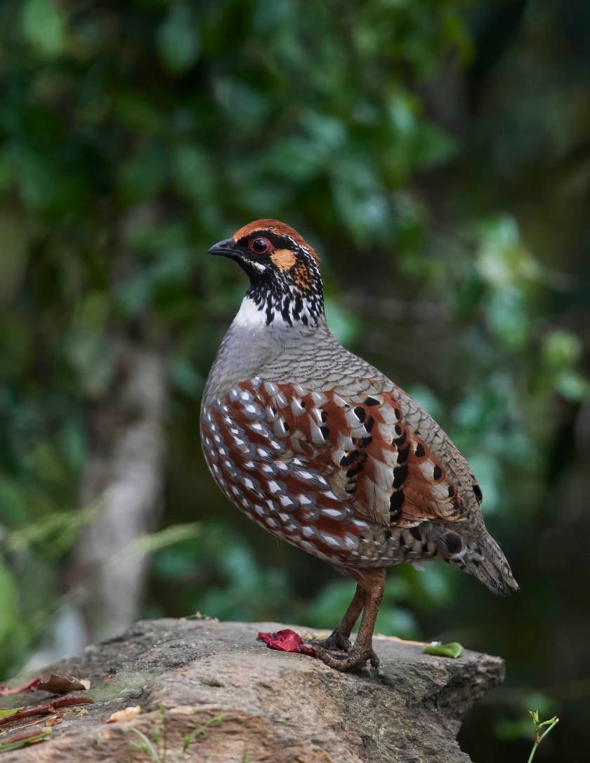 YOG_4388 1-DeNoiseAI-standard