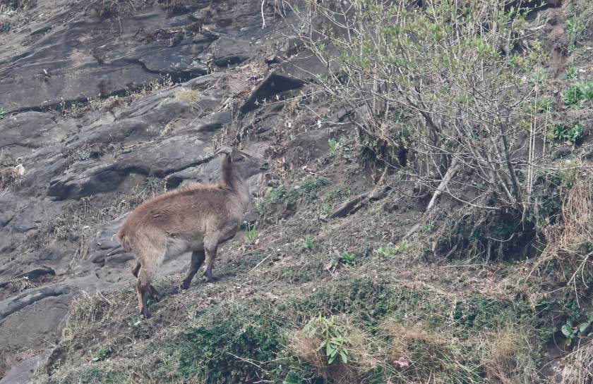 YOG_3358-DeNoiseAI-standard