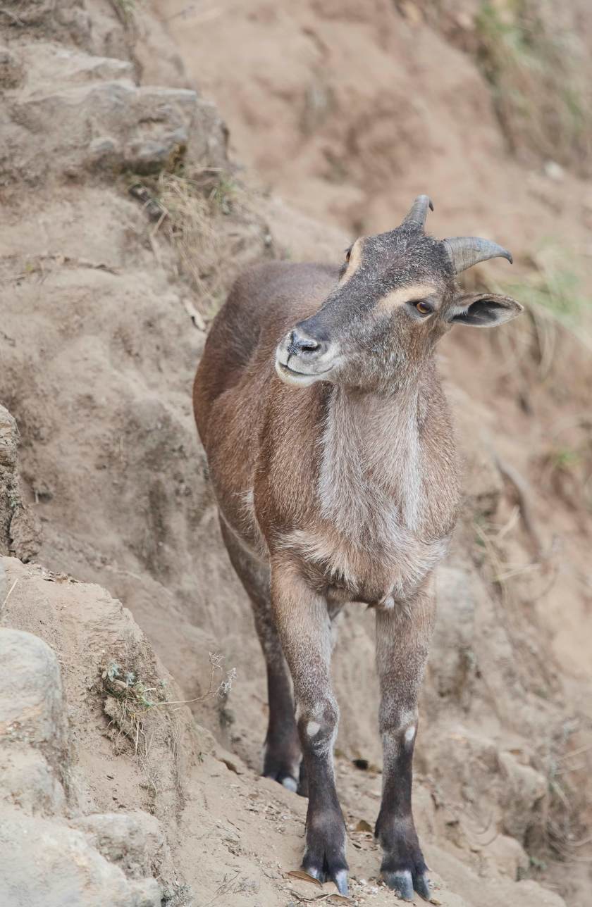 YOG_3384-DeNoiseAI-standard