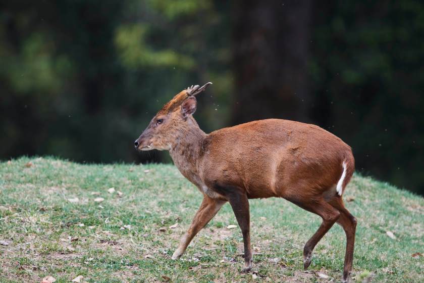 YOG_3426-DeNoiseAI-standard