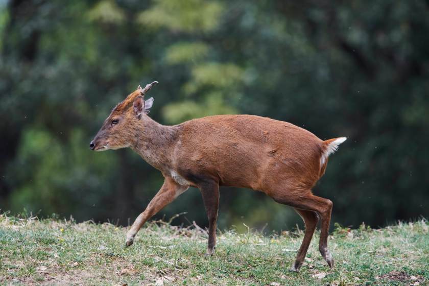 YOG_3429-DeNoiseAI-standard