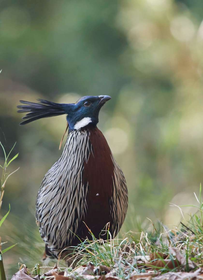 YOG_3689-DeNoiseAI-standard