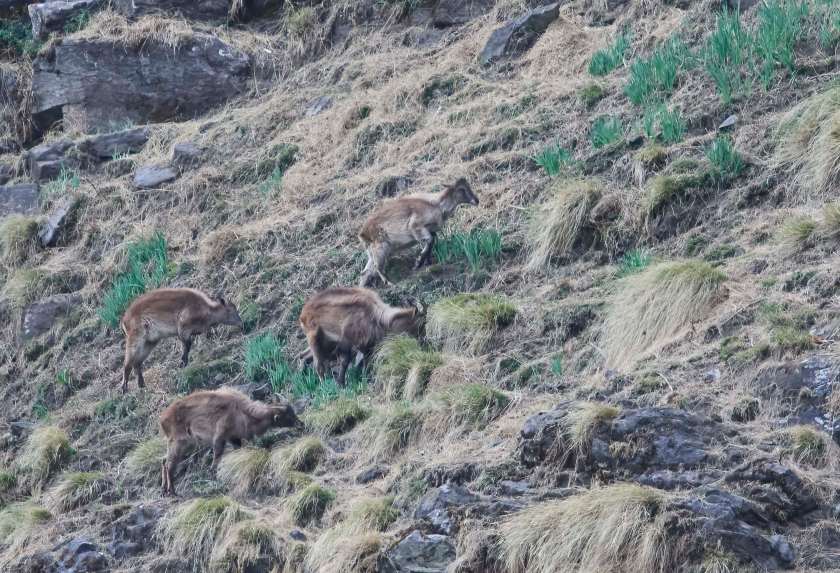 YOG_4681-DeNoiseAI-standard