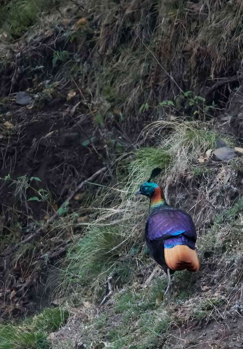 YOG_4748-DeNoiseAI-standard