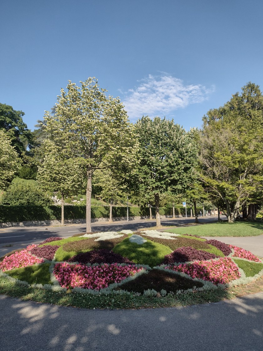 IMG_20220808_174009367_HDR