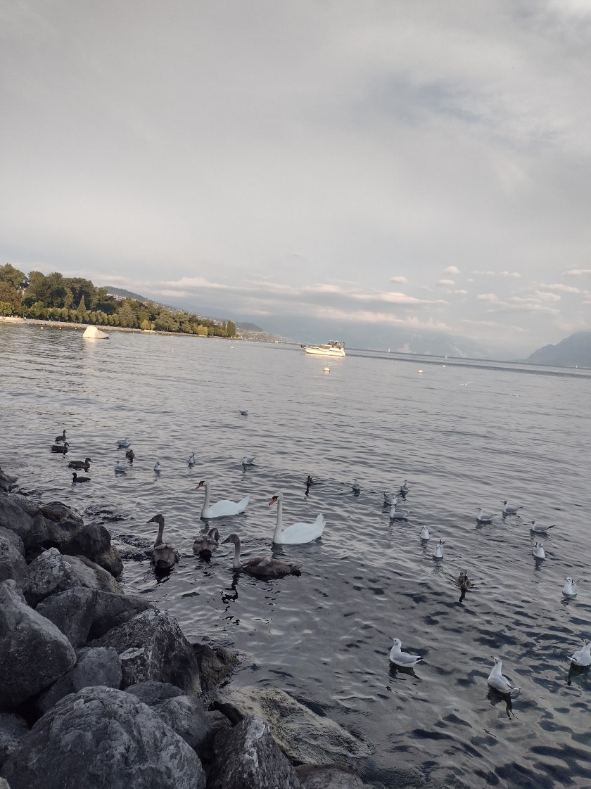 IMG_20220808_195303548_HDR