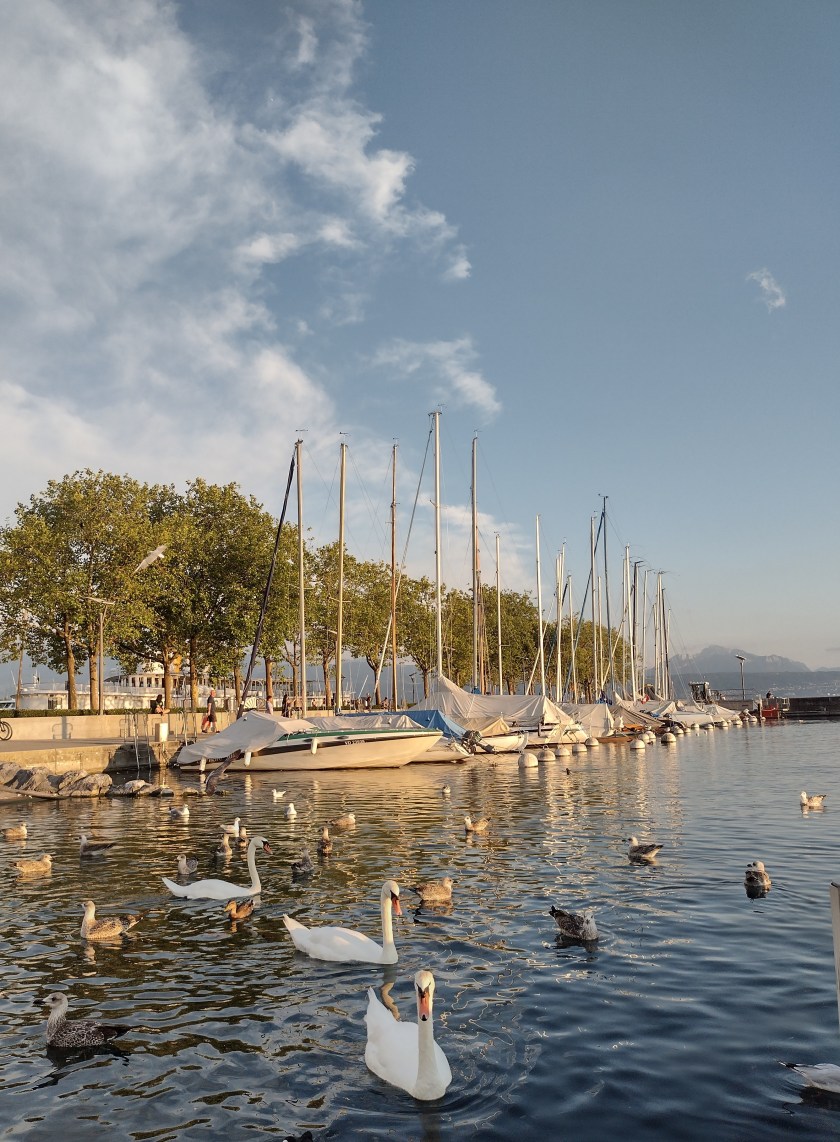 IMG_20220808_201213220_HDR~2