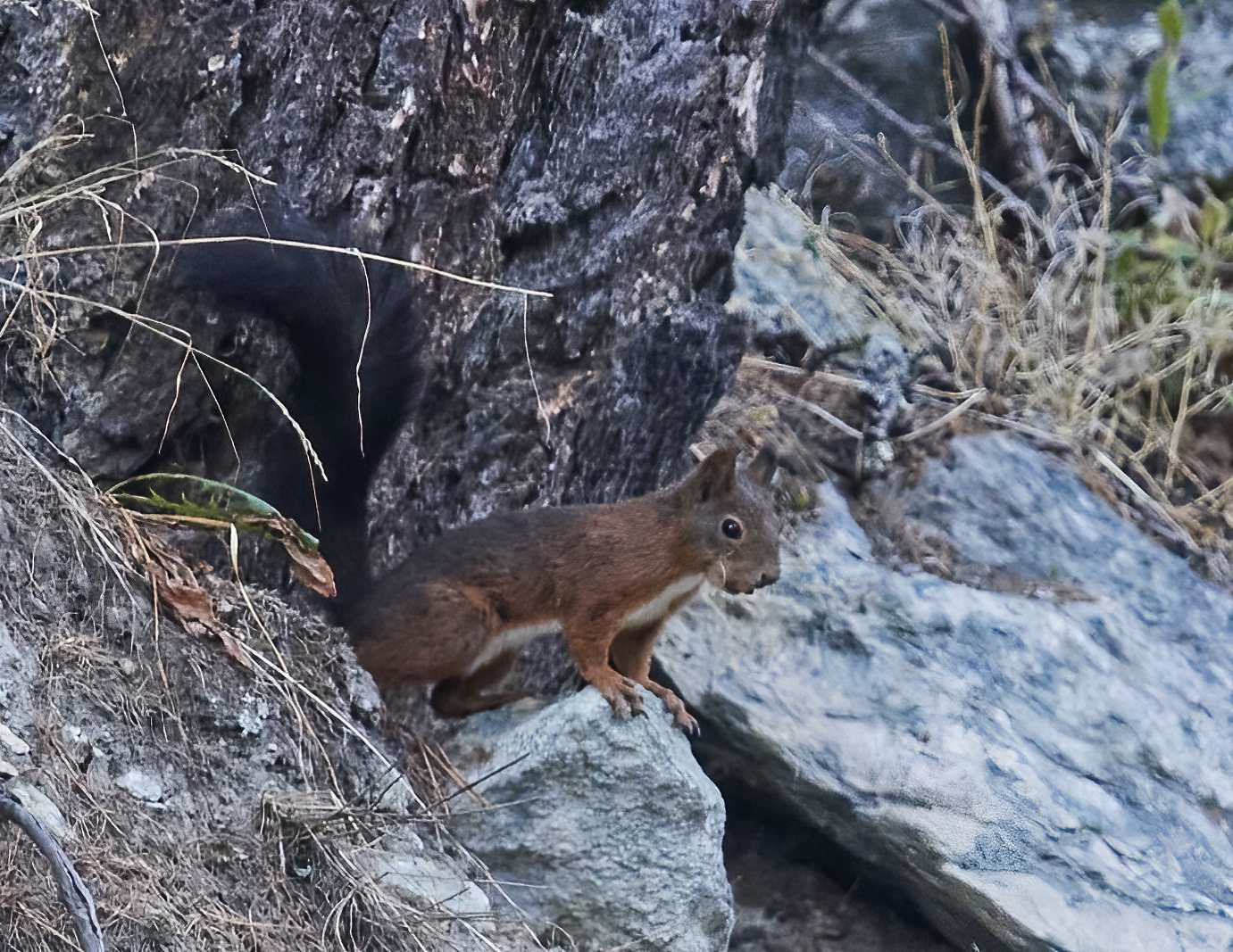 YOG_6358-DeNoiseAI-standard