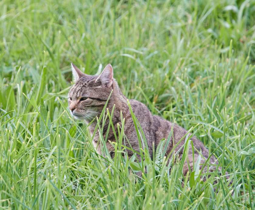 YOG_6749-DeNoiseAI-standard