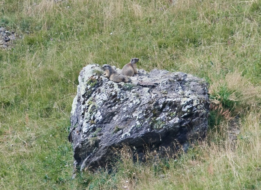 YOG_6975-DeNoiseAI-standard