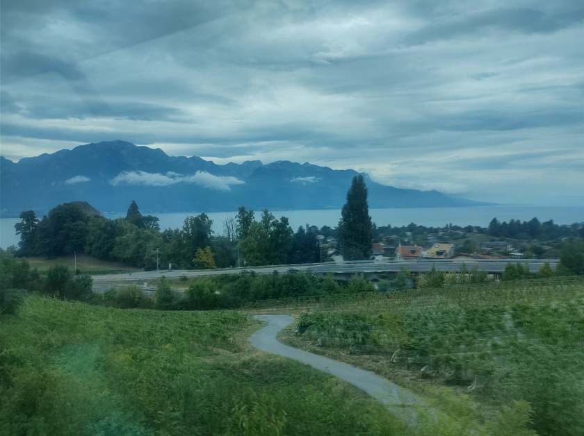 328375202_2113913512332509_4621762346458147108_n