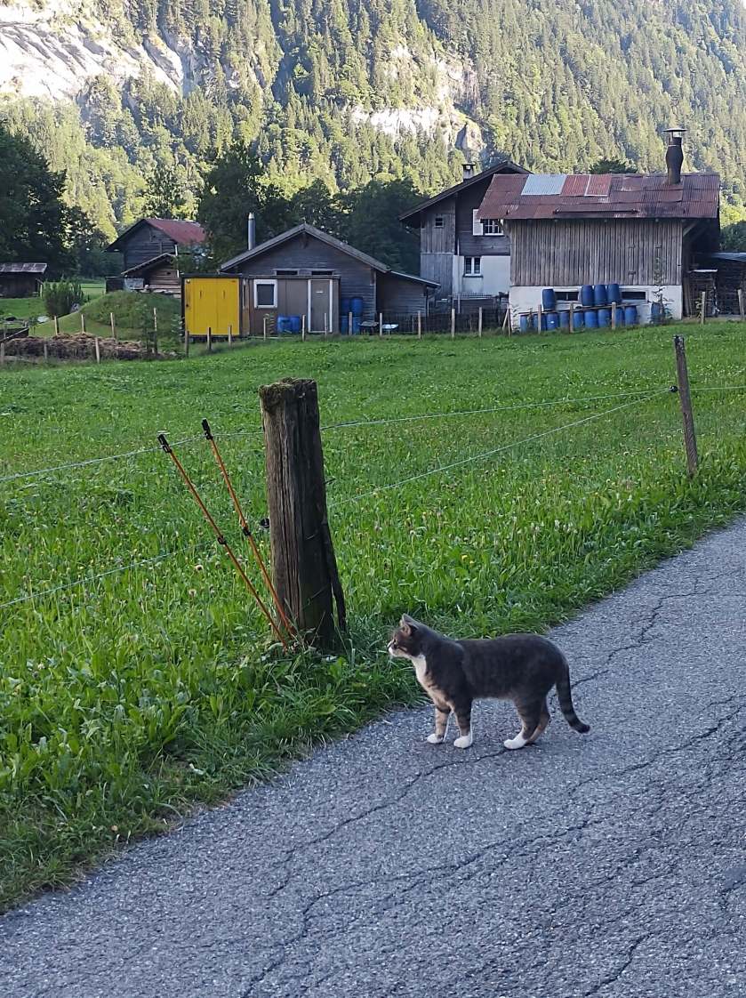 330707606_1123143418457501_4469888063091136213_n