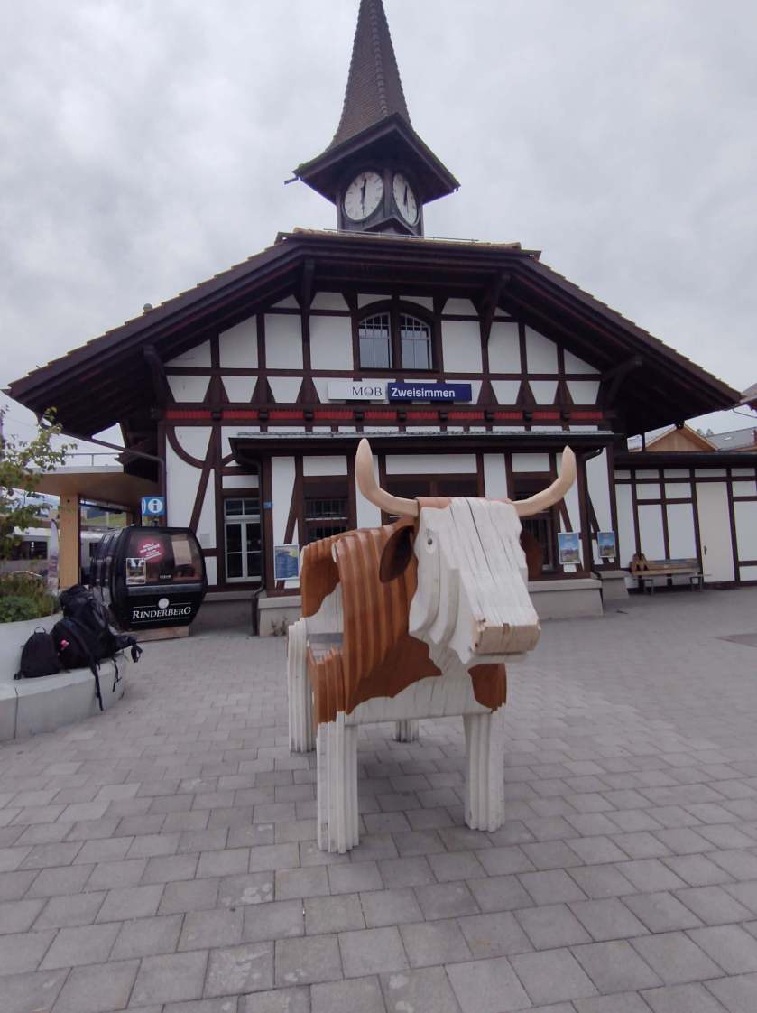 332345628_250350763982097_6806660879849807738_n