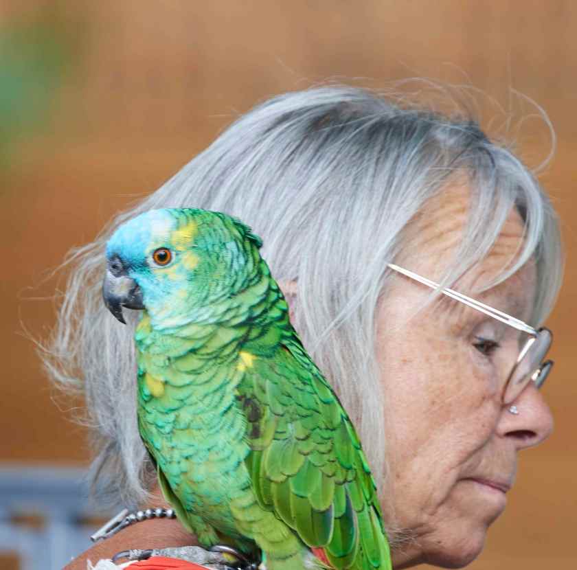 YOG_7485-DeNoiseAI-standard