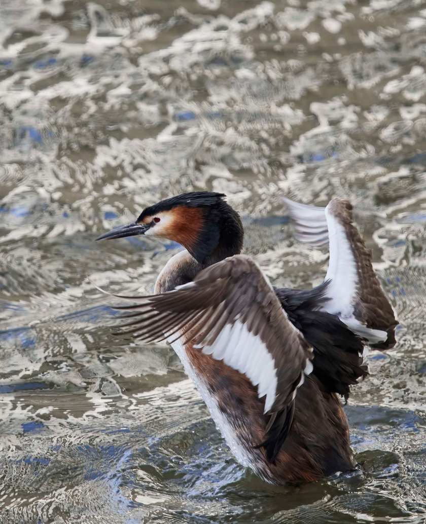 YOG_6925-DeNoiseAI-standard