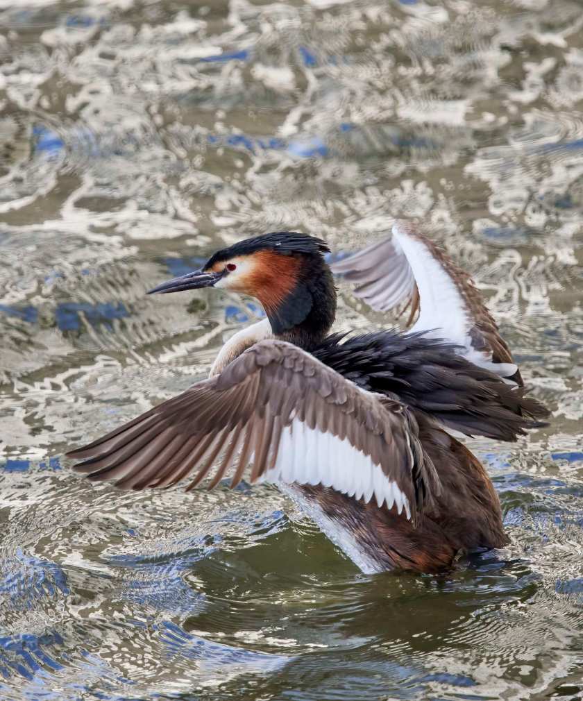 YOG_6927-DeNoiseAI-standard