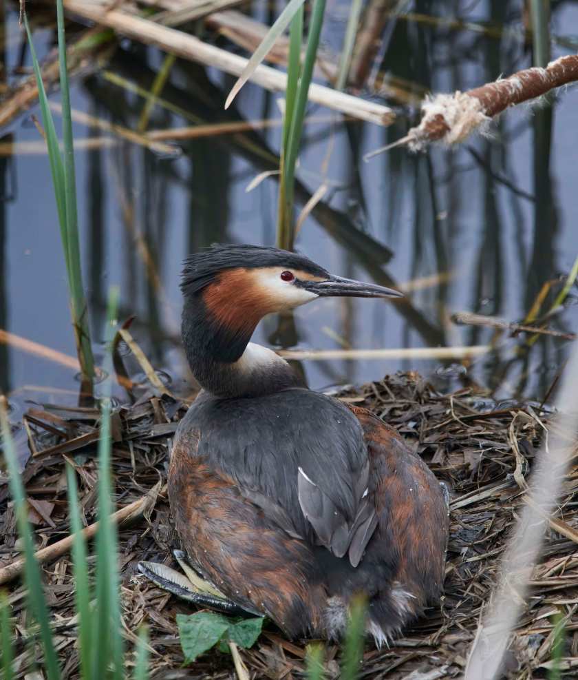 YOG_6965-DeNoiseAI-standard