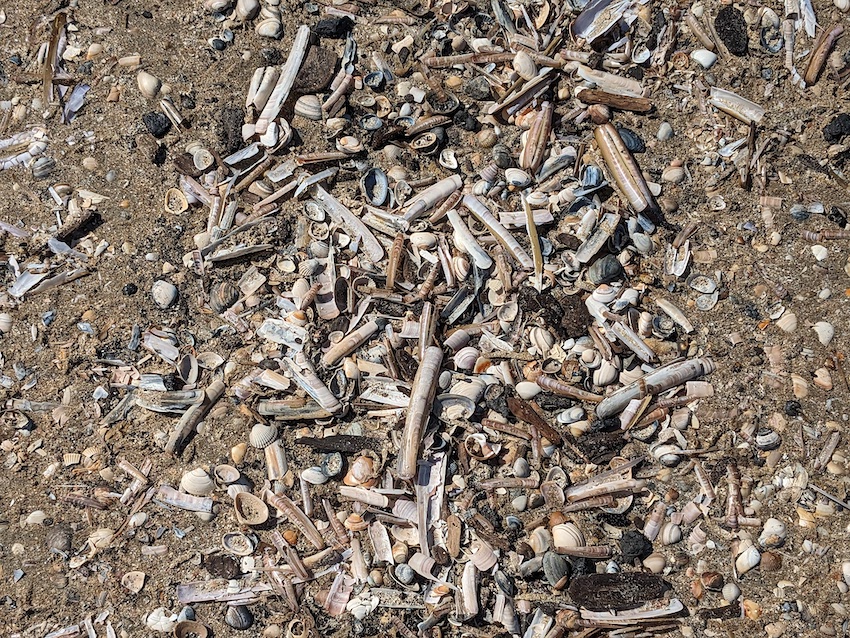 PXL_20230502_100512470