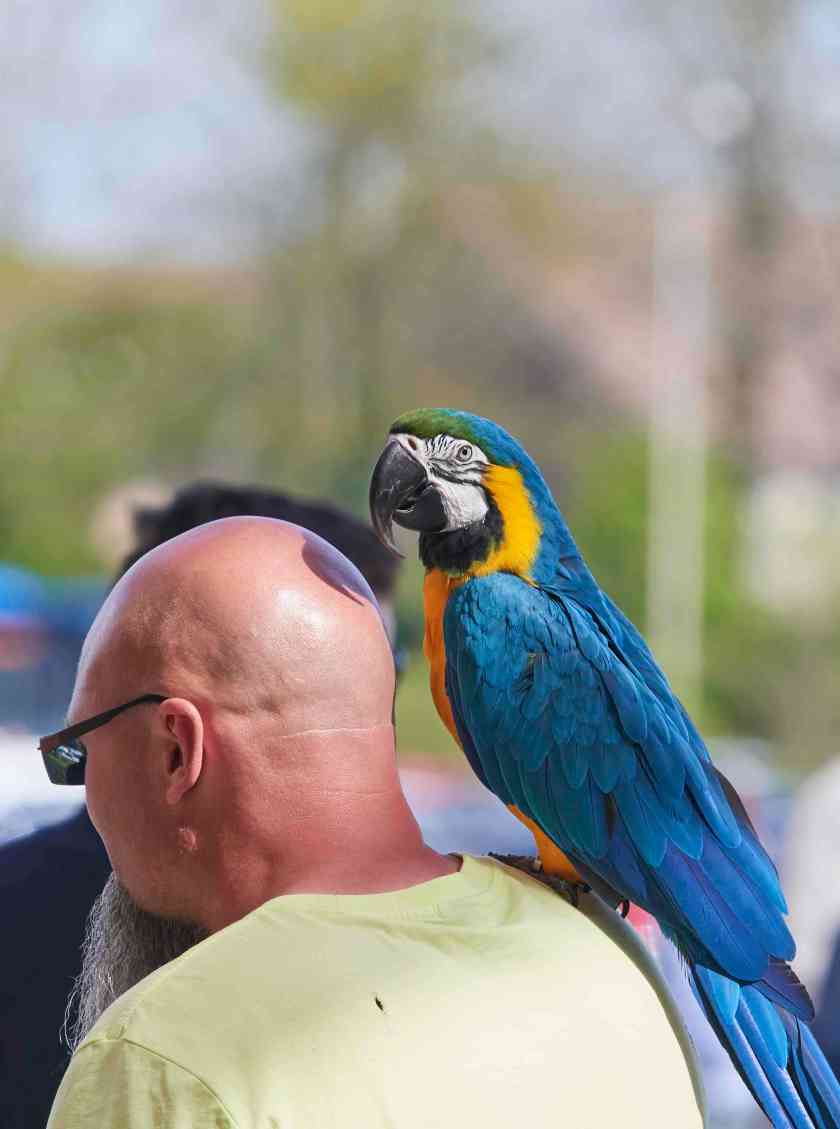 YOG_8230-DeNoiseAI-standard