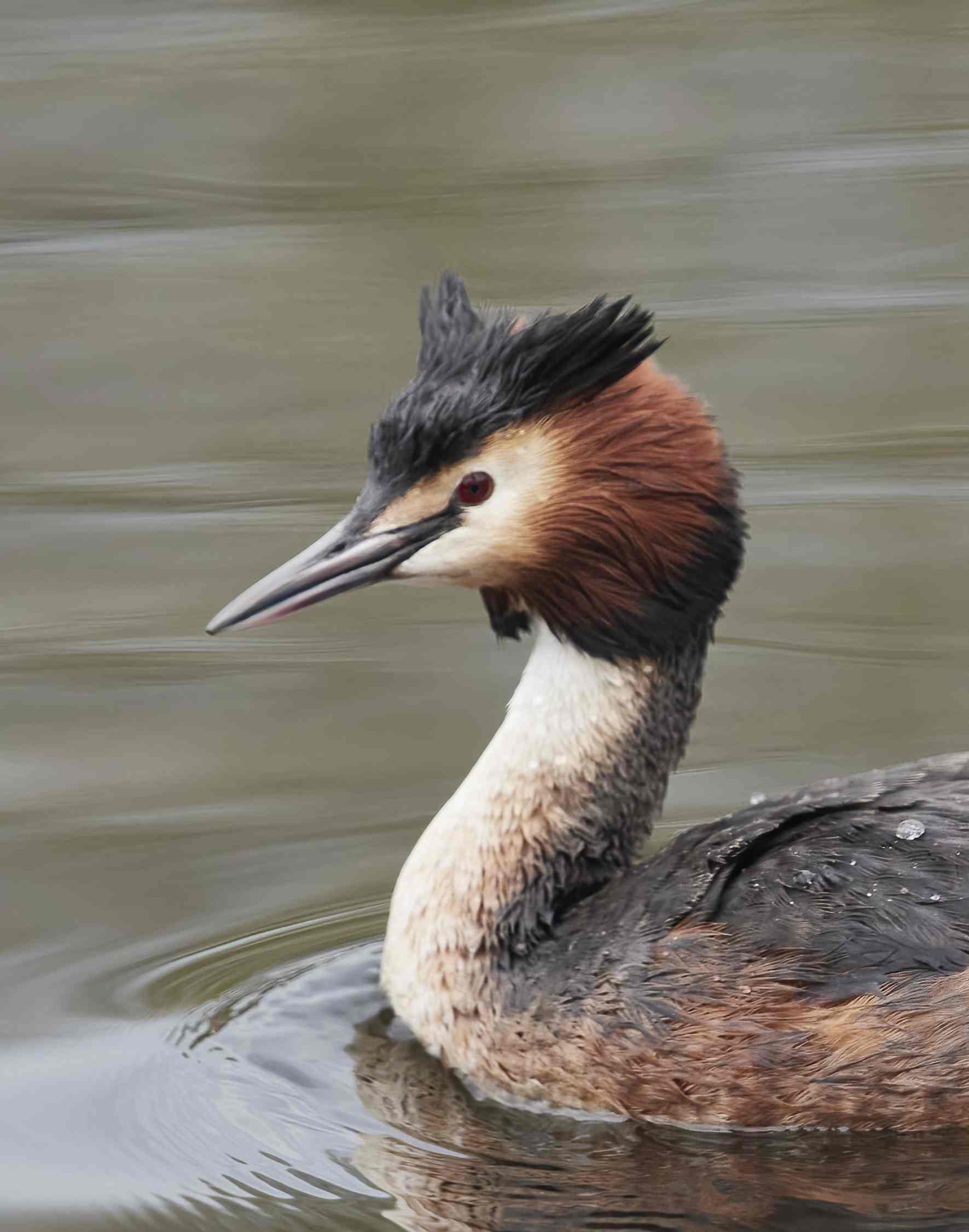 YOG_8341-DeNoiseAI-standard