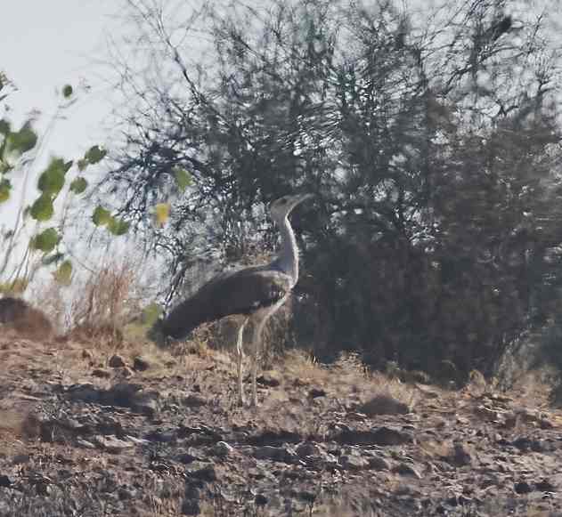 YOG_3871-DeNoiseAI-standard