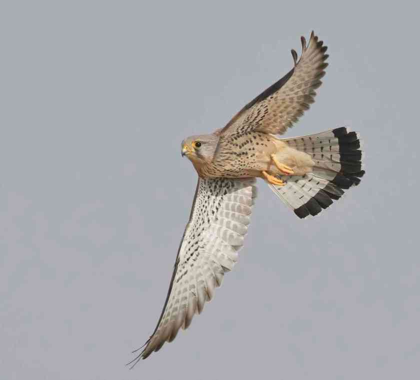 YOG_4006 1-DeNoiseAI-standard