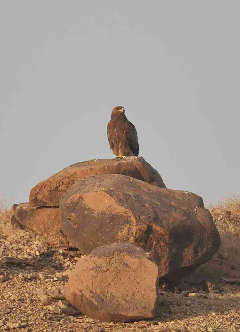 YOG_4209-DeNoiseAI-standard